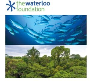 Waterloo Foundation funding opportunity for African NGOs