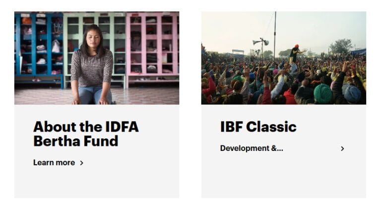 IDFA Bertha Fund (IBF) Classic funding opportunity